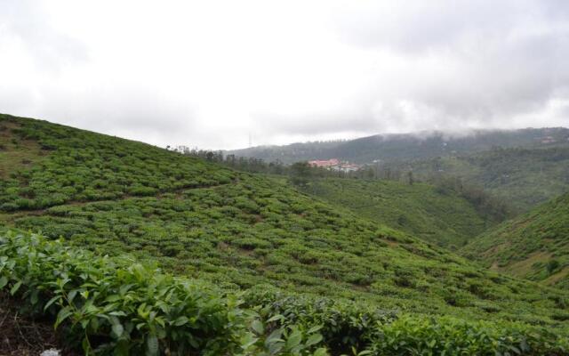 Ferndale Homestay