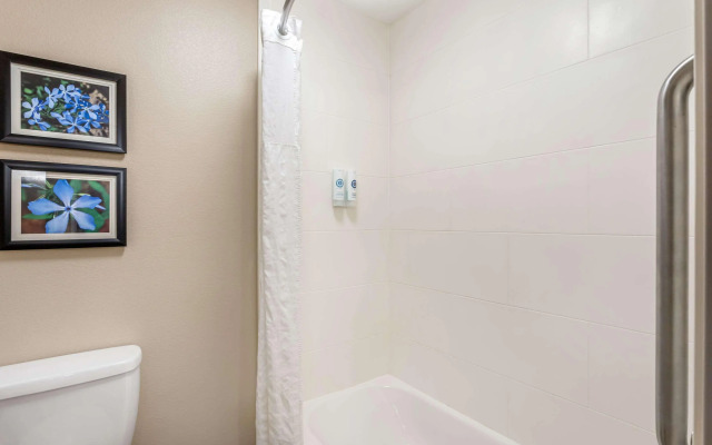 Comfort Inn & Suites Conway