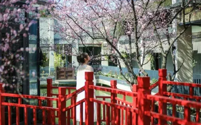 Hangzhou Shuimo Zhuang Private Home Forest Hotel (Chaoshan Scenic Area)