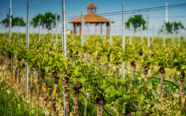 Best Western Plus Palatin Kongresshotel