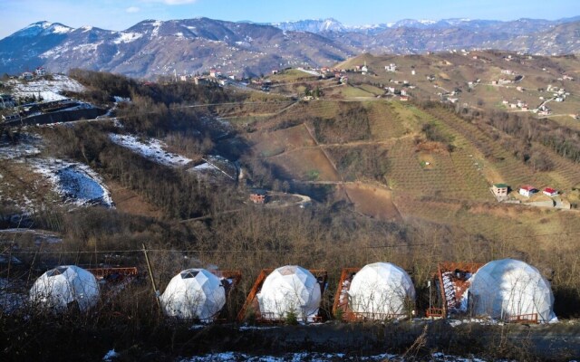 Zedome Panorama