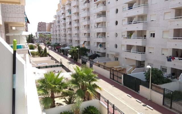 Marina Trebol Iii-2 Linea Planta 2 Sur