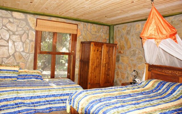 Lazy Lizard Boutique-Hotel