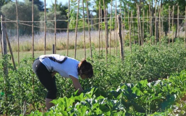 Agriturismo Le Torri di Porsenna