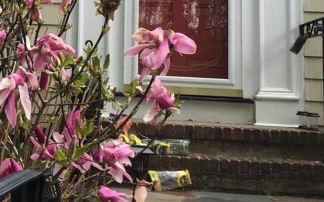 Wellesley Bed and Breakfast