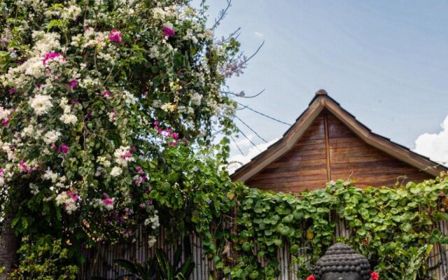 United Colors of Gili