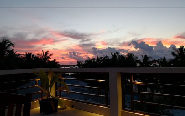White Coral Rasdhoo