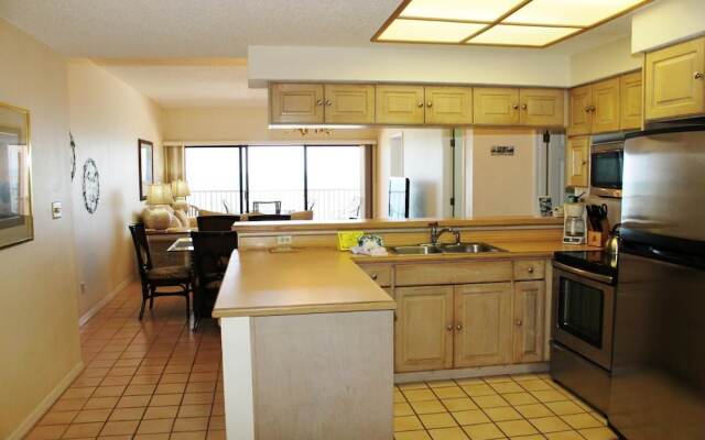 Beach Palms 505