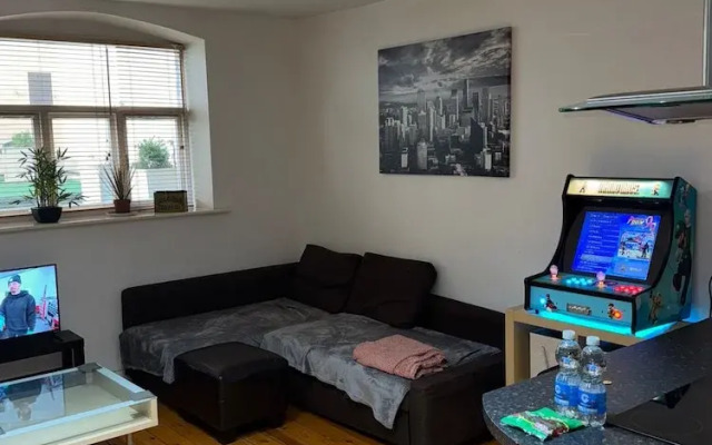 1br-wifi-freesnacks-freeparking-petsok-retroarcade