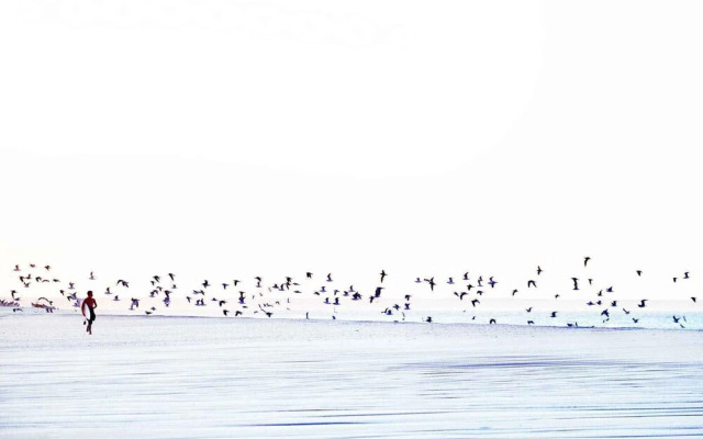 Ocean Vagabond Dakhla