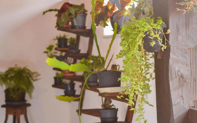 Noemia Brazil Cama e Café - Suíte independente