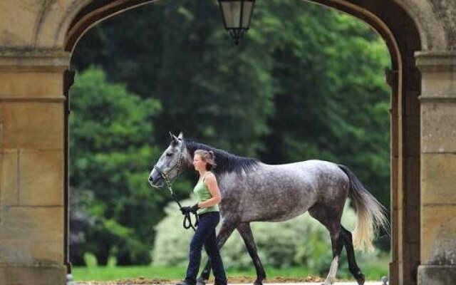 Le Domaine Chateau du Faucon