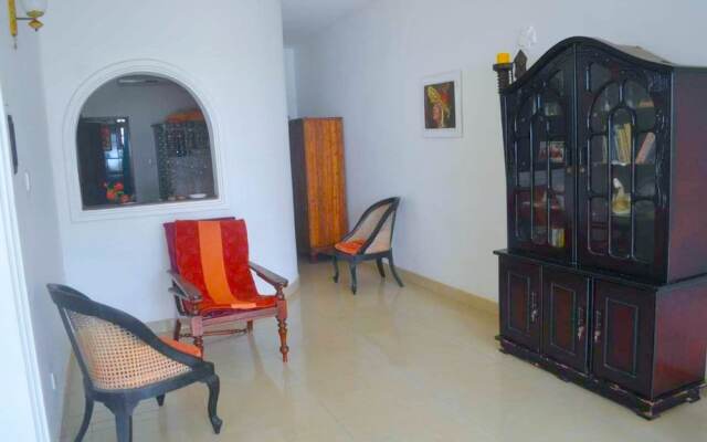 Yoho New Casa Mark