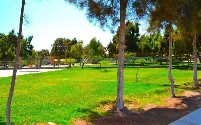 Apartamentos Alma Socoroma