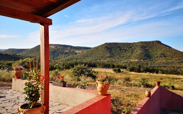 Sabba Druche Spiagge