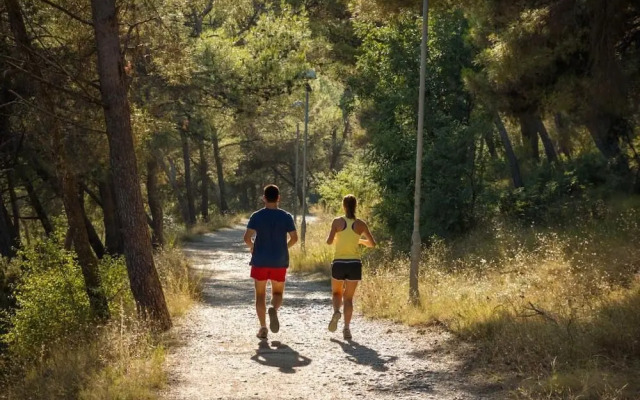 Villa Segetski dvori – Tradition since 1964