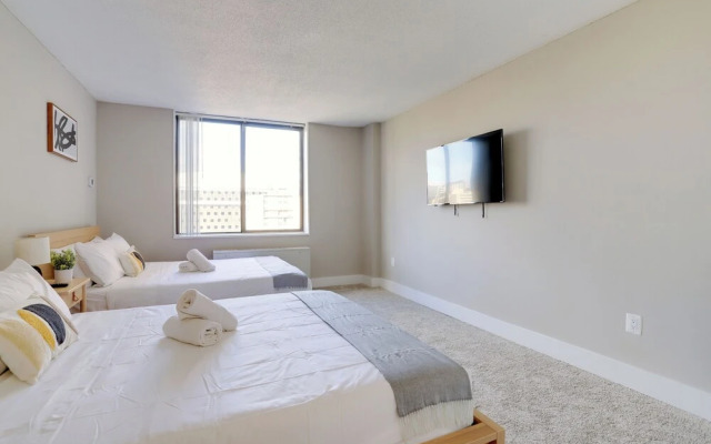 Crystal City Modern Apt w Gym