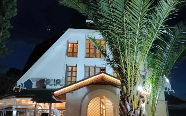 Zeynisa doğu karadeniz yatırım ortaklığı