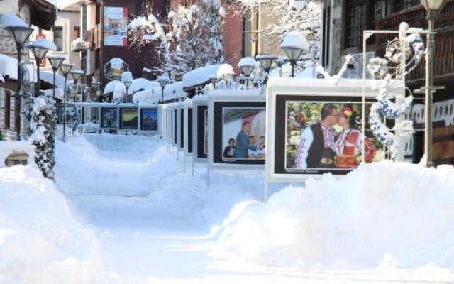 Hotel Alpin Bansko