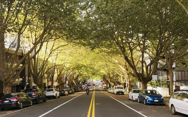 Leafy Street Apartment Central Auckland