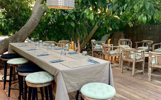 El Violin Experiencia