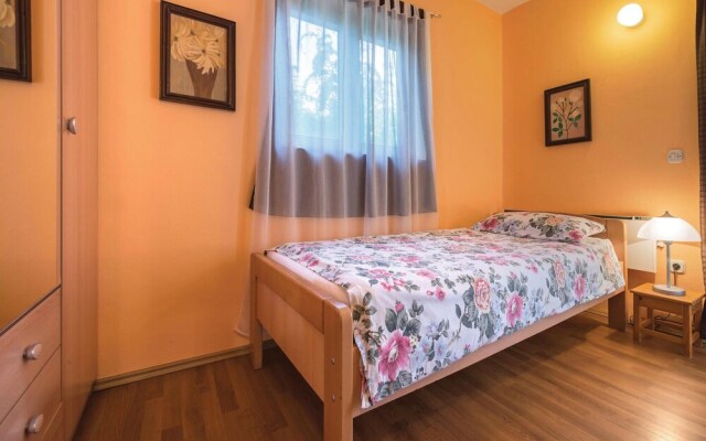 Amazing Home in Liznjan With 4 Bedrooms, Wifi and Outdoor Swimming Pool