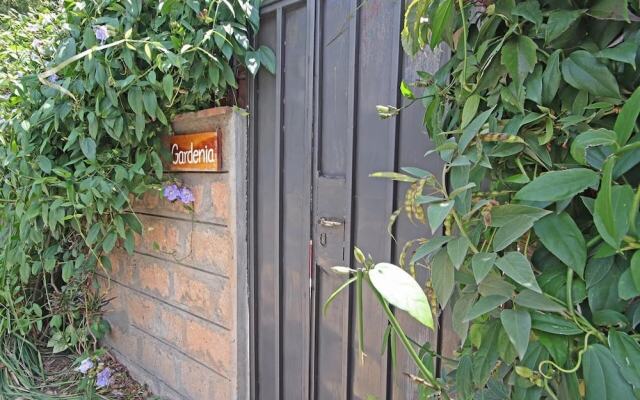 Olesamara Collection