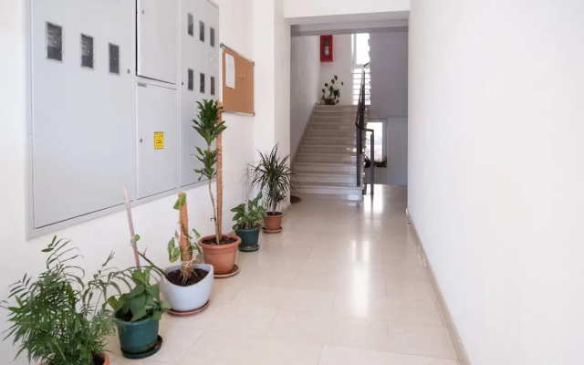Apartment Filip