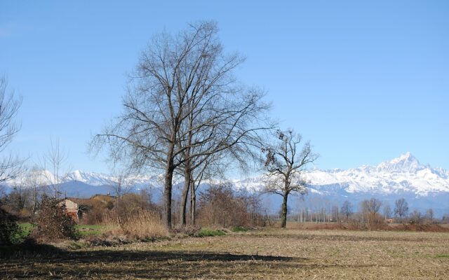 Rustico Felix Affittacamere