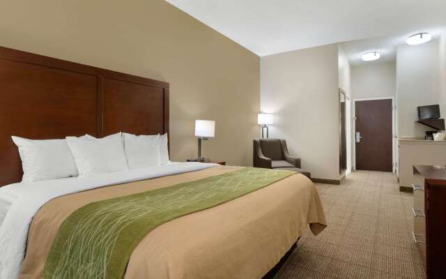 Comfort Inn & Suites Port Arthur-Port Neches