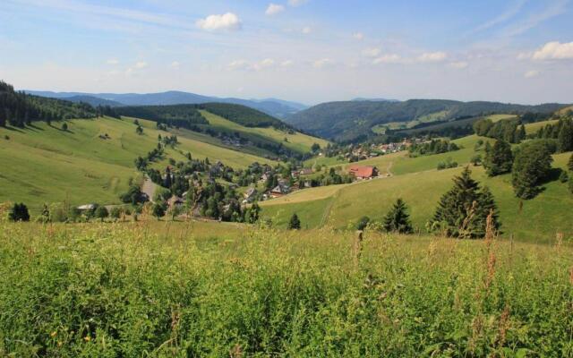 Ferienwohnung-Feldberg-in-der-Pension-Gloecklehof