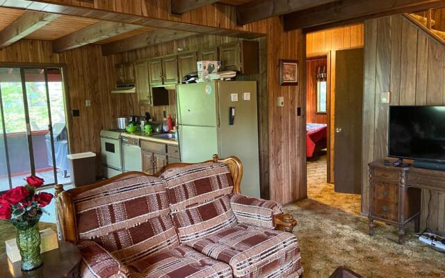 Saw Creek Cabin - Regent Hilltop