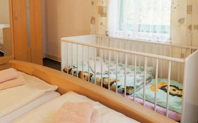 Modern Apartment in Reinhardtsdorf-Schona near Ski Slopes