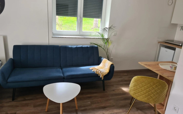 Rooms and apartments Vili