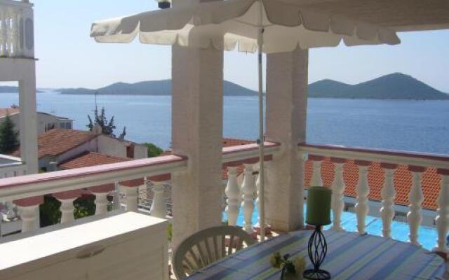 Apartment Branko
