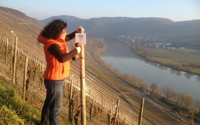 SYBILLE KUNTZ Weingut Gästehaus