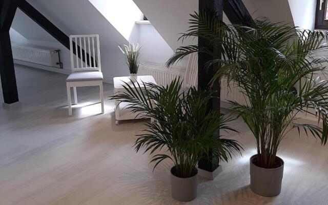 Bugenhagen - Classic Appartements