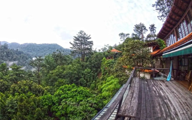 Langit Rimba Resort