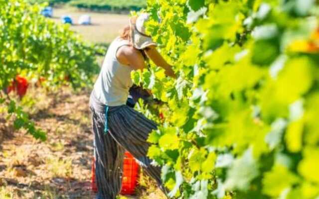 Villetta Large Morellino 6 pax