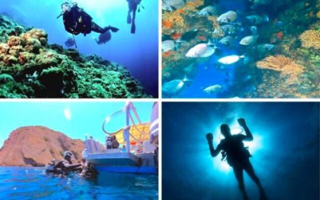 Studio L'Etoile Provençale