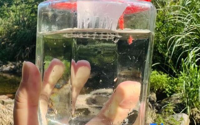 Tian Fang Ye Tan Boutique Hostel