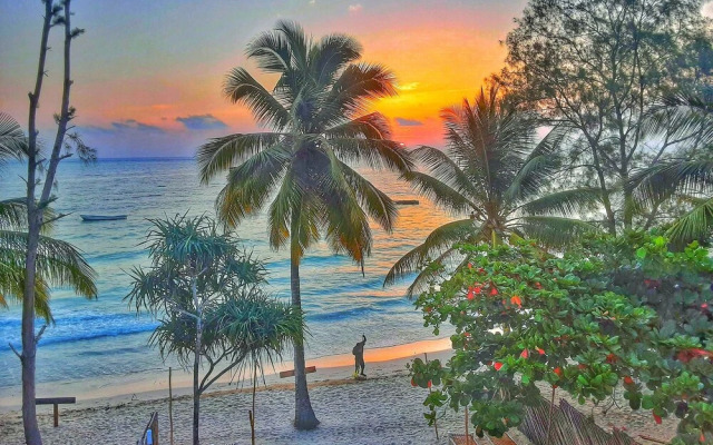 A Dream by the sea - Directly on Kiwengwa Beach