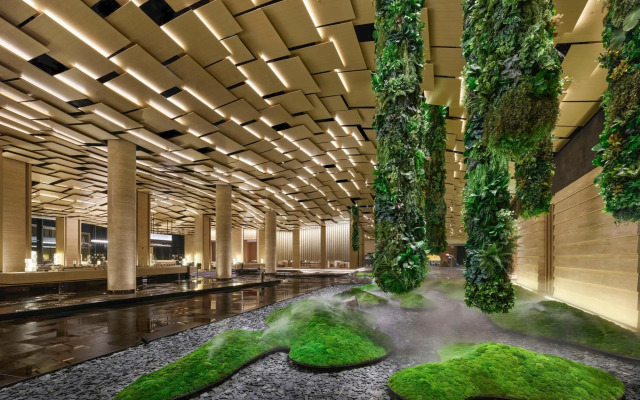 Hilton Nanjing Niushoushan