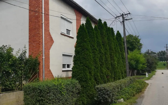 Örökzöld Apartman Szeged