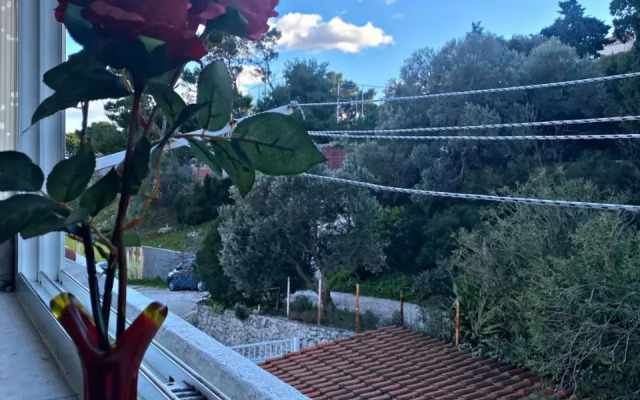 Lucija