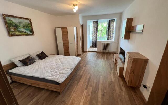 Apartament 1 Room center circumvalațiunii