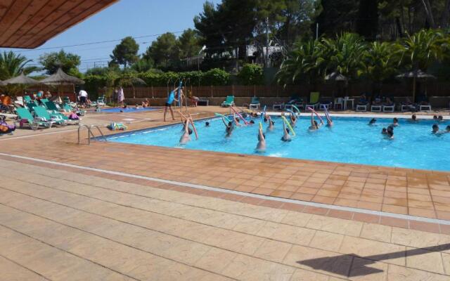 Camping Caledonia