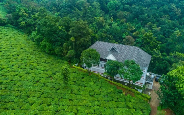 Tea Harvester Munnar