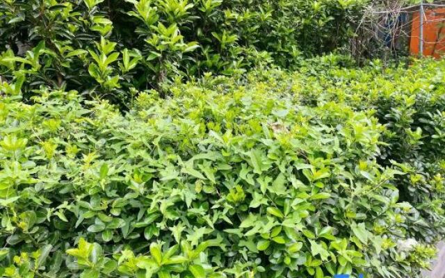 Zsmart Hotel (Shanghai Shangnan Road Subway Station)