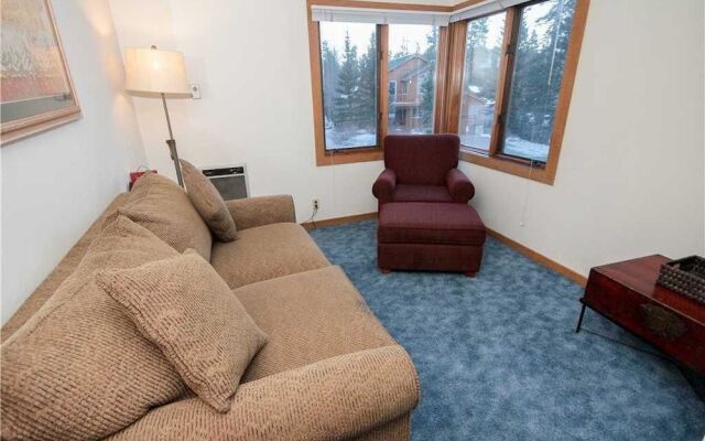 Mountainback #45, Den